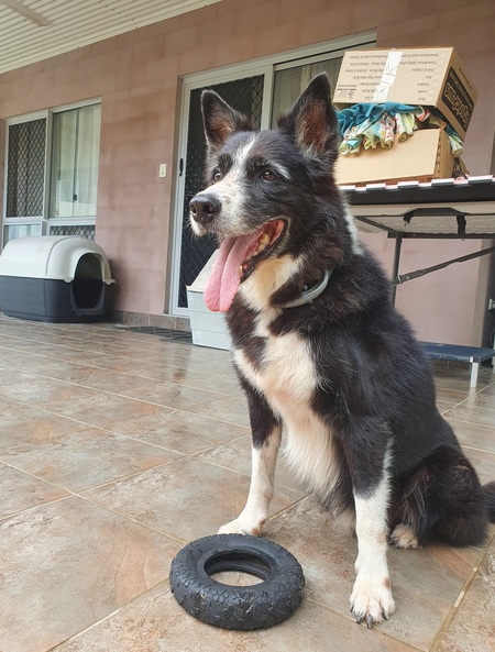 Entry image for Wacko Macko. Clicking this image will show a larger photo