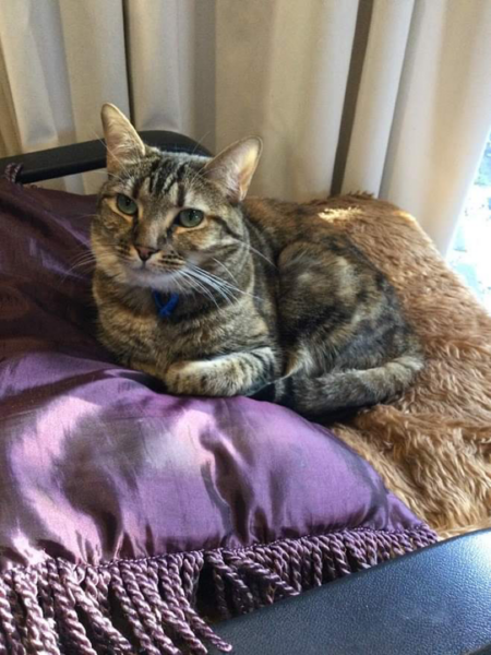 Entry image for Katie. Clicking this image will show a larger photo