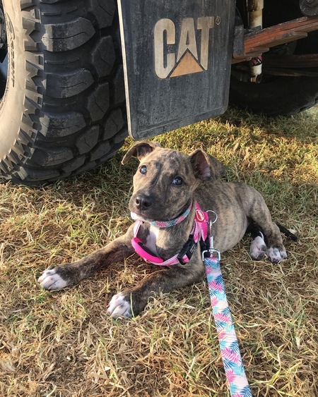 Entry image for Remi. Clicking this image will show a larger photo