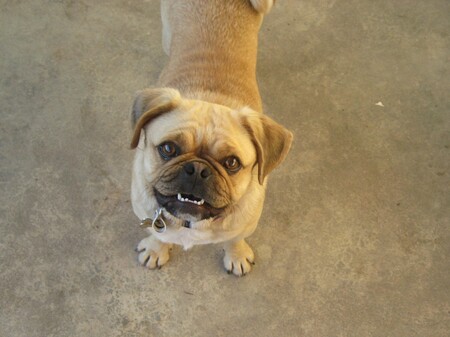 Entry image for Shelly. Clicking this image will show a larger photo