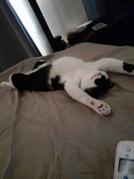 Entry image for Sampson Heard. Clicking this image will show a larger photo