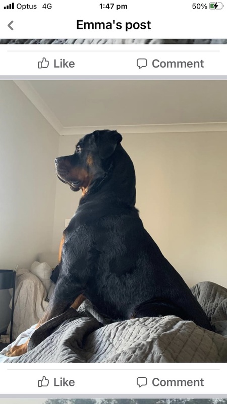 Entry image for Axle . Clicking this image will show a larger photo