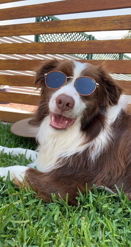 Entry image for Gavin. Clicking this image will show a larger photo