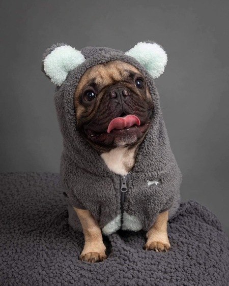 Entry image for Toulouse. Clicking this image will show a larger photo