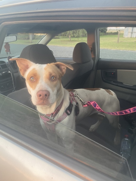 Entry image for Solar . Clicking this image will show a larger photo