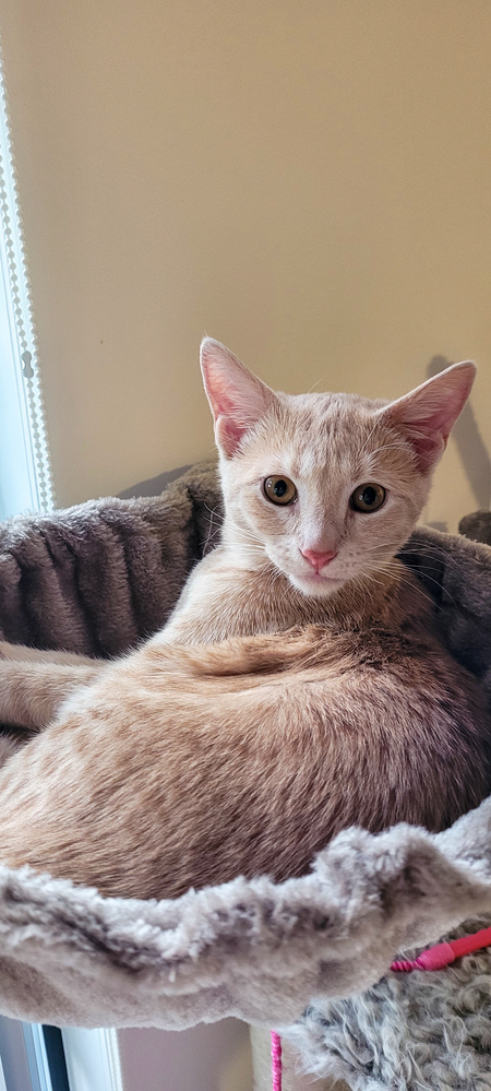 Entry image for Effy. Clicking this image will show a larger photo