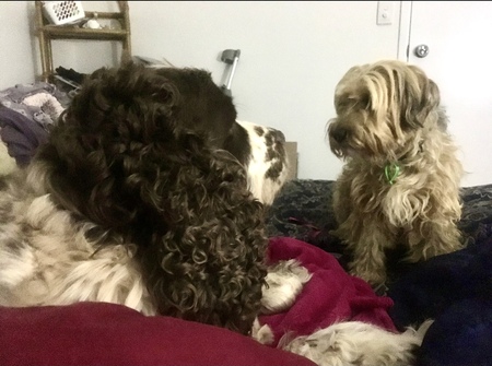 Entry image for Cash (ESS) . Clicking this image will show a larger photo