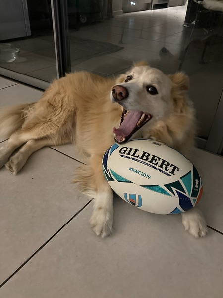 Entry image for Billecart. Clicking this image will show a larger photo