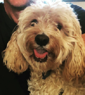 Entry image for Nelson. Clicking this image will show a larger photo