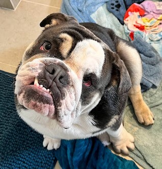 Entry image for Floyd. Clicking this image will show a larger photo