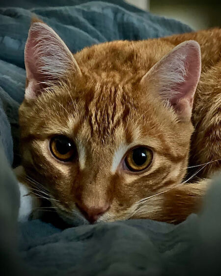 Entry image for Arthur. Clicking this image will show a larger photo