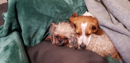 Entry image for sebastian and katelin. Clicking this image will show a larger photo