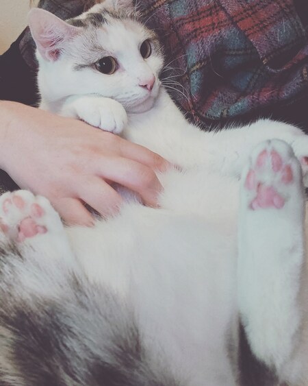 Entry image for Mika. Clicking this image will show a larger photo