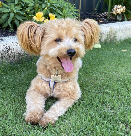 Entry image for Oakley. Clicking this image will show a larger photo