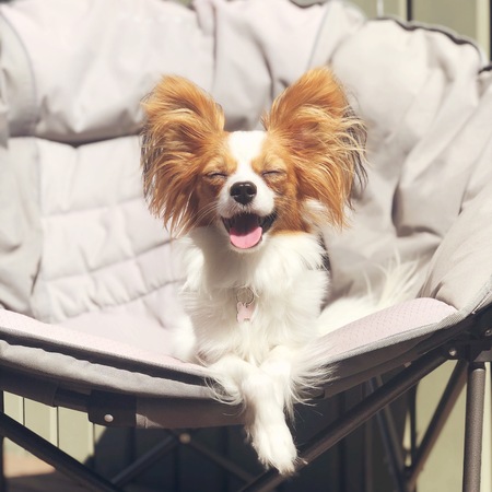 Entry image for Gabby . Clicking this image will show a larger photo