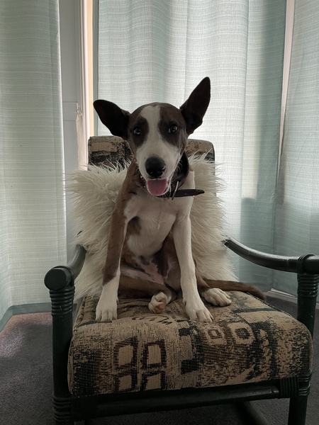 Entry image for Karma . Clicking this image will show a larger photo