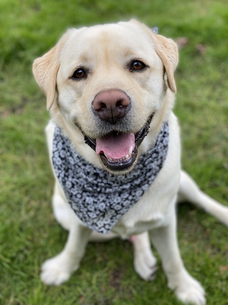 Entry image for Walter . Clicking this image will show a larger photo