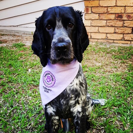 Entry image for George. Clicking this image will show a larger photo