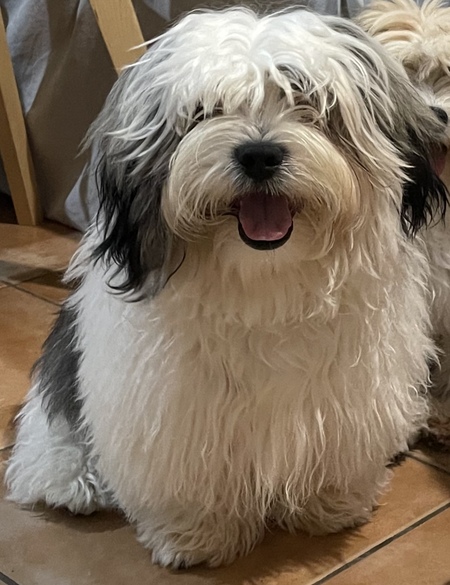 Entry image for Mac. Clicking this image will show a larger photo