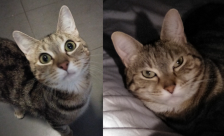 Entry image for Tyler. Clicking this image will show a larger photo