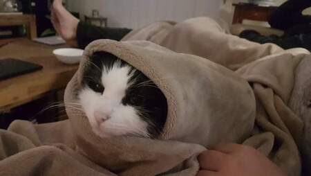 Entry image for Leah. Clicking this image will show a larger photo