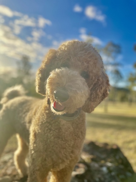 Entry image for Eddie. Clicking this image will show a larger photo