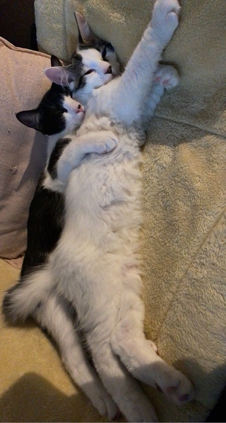 Entry image for Sushi & Tommy. Clicking this image will show a larger photo