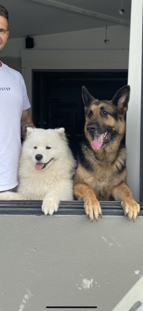 Entry image for Ziggi and Rexy . Clicking this image will show a larger photo