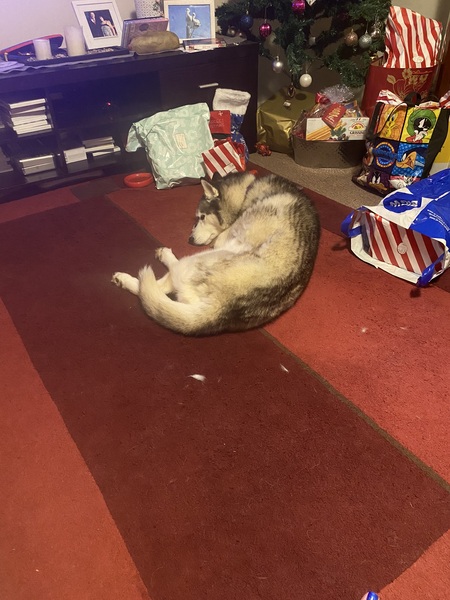 Entry image for Mya aboud. Clicking this image will show a larger photo