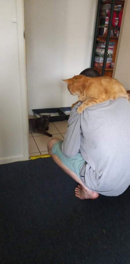 Entry image for Oscar. Clicking this image will show a larger photo