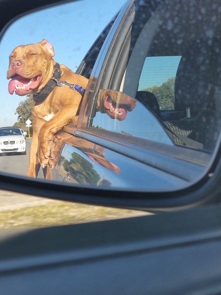 Entry image for Remy (aka baby girl). Clicking this image will show a larger photo