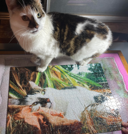 Entry image for Charlie. Clicking this image will show a larger photo