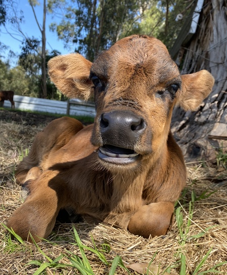 Entry image for Jimmy. Clicking this image will show a larger photo