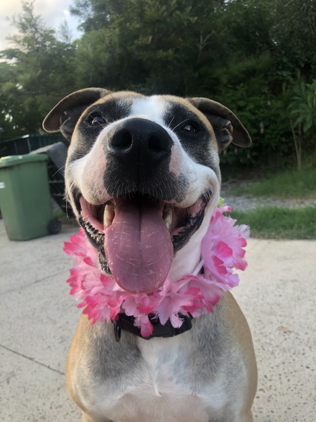 Entry image for Jed. Clicking this image will show a larger photo