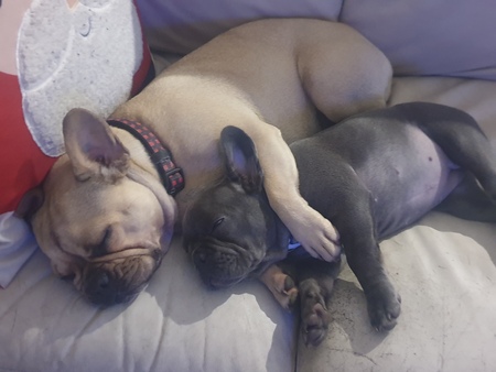 Entry image for Hazel & Saskia. Clicking this image will show a larger photo