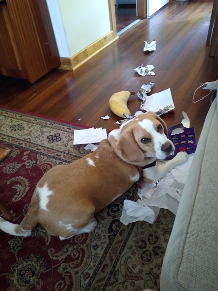 Entry image for Jim. Clicking this image will show a larger photo