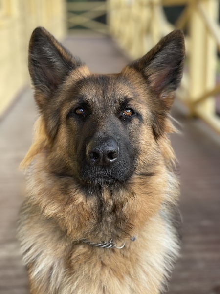 Entry image for Rhana. Clicking this image will show a larger photo