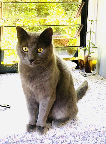 Entry image for Larry. Clicking this image will show a larger photo