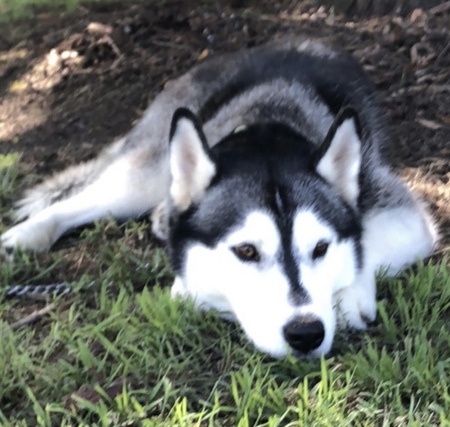 Entry image for Zarah Garcines. Clicking this image will show a larger photo