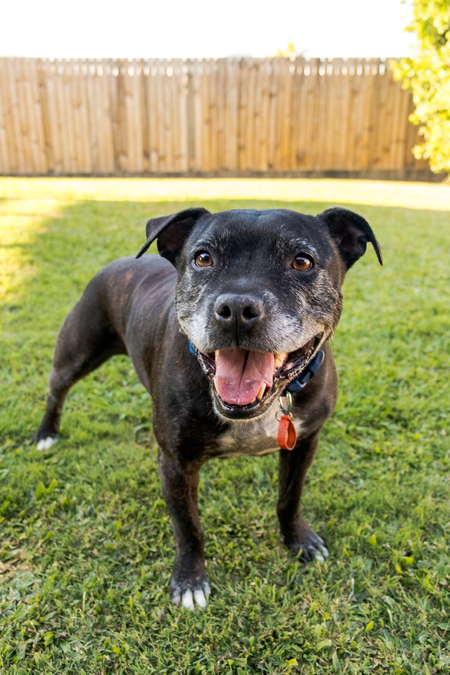 Entry image for Wizard. Clicking this image will show a larger photo