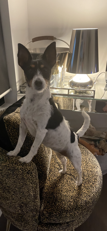 Entry image for Tuppence . Clicking this image will show a larger photo