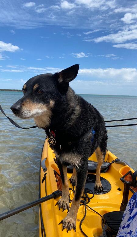 Entry image for Zack. Clicking this image will show a larger photo