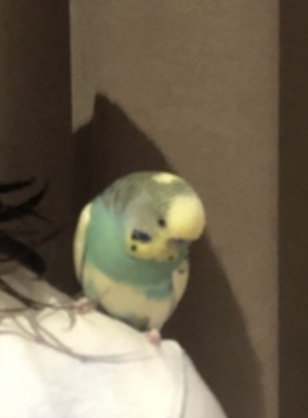 Entry image for Sky. Clicking this image will show a larger photo