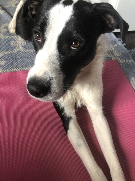 Entry image for Luther . Clicking this image will show a larger photo