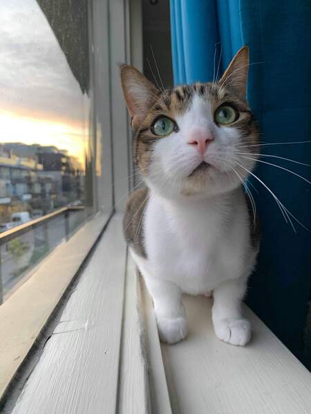 Entry image for Zach. Clicking this image will show a larger photo