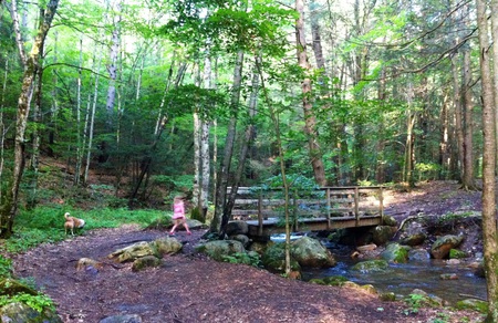 Storybook hike