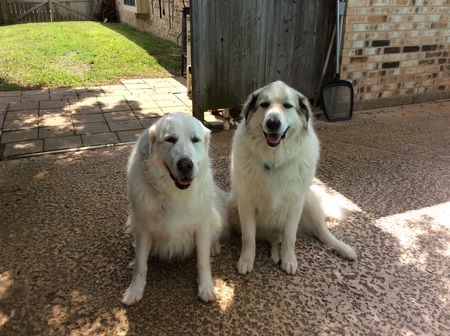 Sophie and Dakota