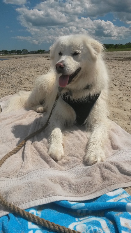 Gus