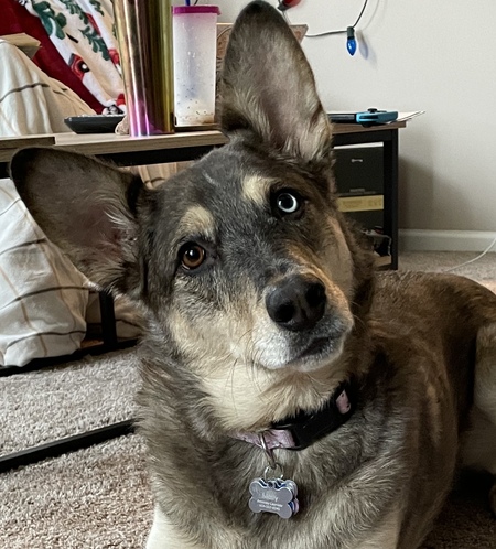 Molly