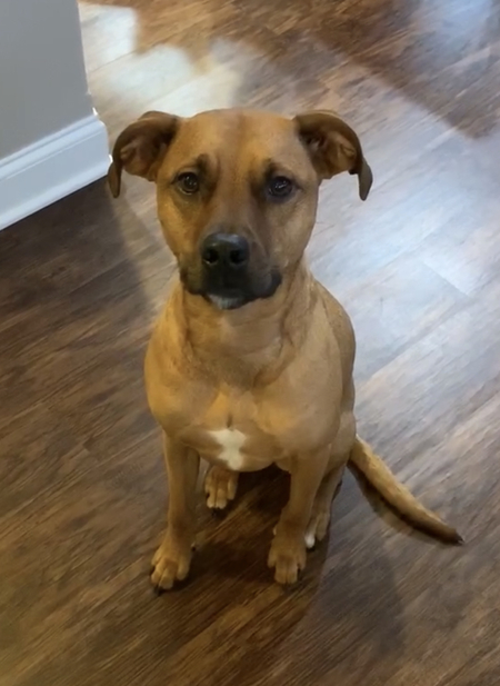 Ruby Sue